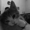 onlyyou_27_10_06