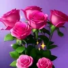 user9240757109540