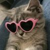 user11932494074358