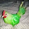 caioz_efoots