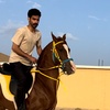 شقران🐎