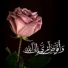 user77445312740264