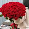 kemal.ylhamy.eke