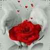 user1880105068728