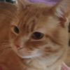 gabriel_200064