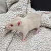 meheartrats