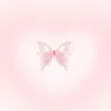 daisy_5640