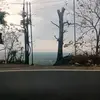 rarr_322