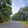 hc041284