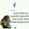 omer.jumdail