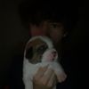 im._jus._andrew
