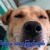 smile72058