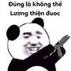 dhphong98