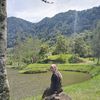pisang.p1