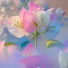 thaovy22222