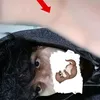 ooo_zzzoo