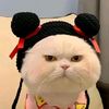 ly.anh144
