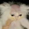 joshuacasaljay0