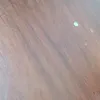 coco05858