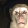 dwiajbjakw