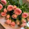 hannah.khalisa18