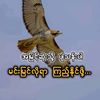 koaye0986