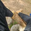 wly_mande
