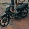 aril_supra.ar