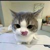 fifirt4