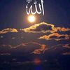 armanjutt683683