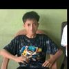 pitllldapa