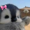wilda_0712