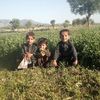 lal.wazir3