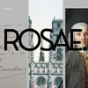 rosaehistoire