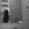 conkadobreva2