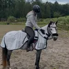 meli_equi