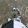 alpinnn.__