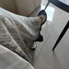 sari01020393