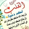 user2531070617297