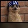 abiodunalex61