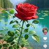 masod3666