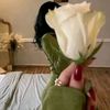 elle.lux977