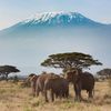 Tanzania yetu sote