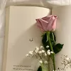mrrop7