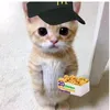 mariam.xarazishvi6