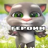 botik013