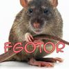 _fgotor__