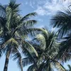 elizabethzanny252