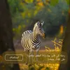 nademmalo