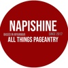 napishine_atp